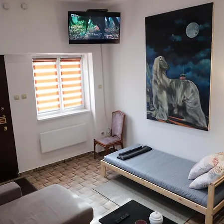 Center Cozy Apartment